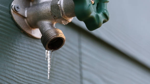 Best Clogged Drain Plumber  in West Sharyland, TX